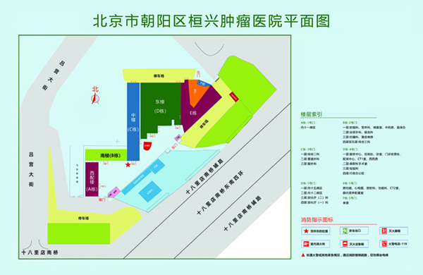 最新插逼北京市朝阳区桓兴肿瘤医院平面图